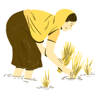 Farmer First