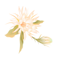 Purity Above All