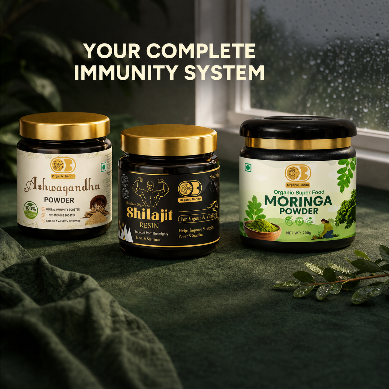 Immunity Shield Kit (Moringa Powder 200g + Shilajit Resin + Ashwagandha Powder )