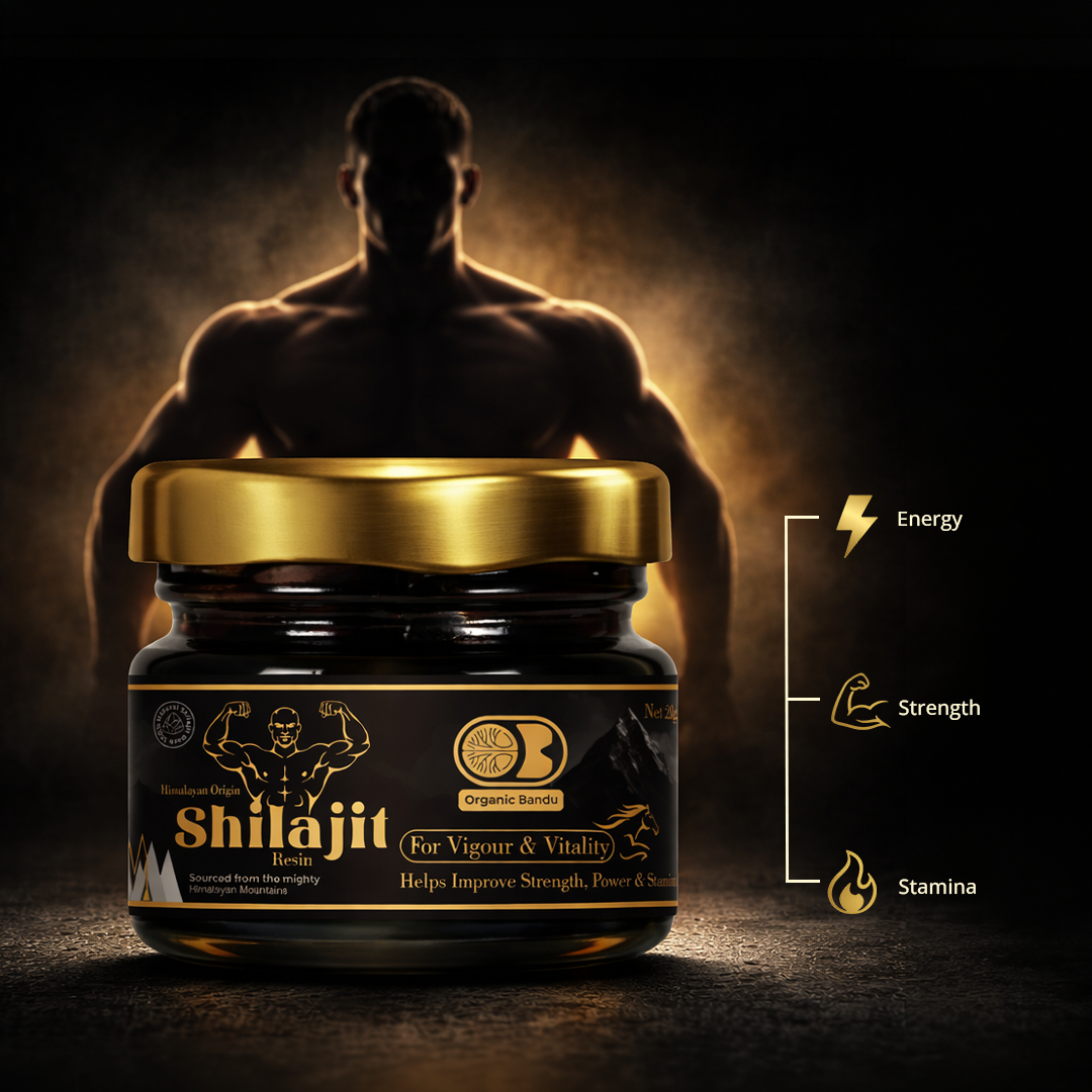 Shilajit Resin 20gm