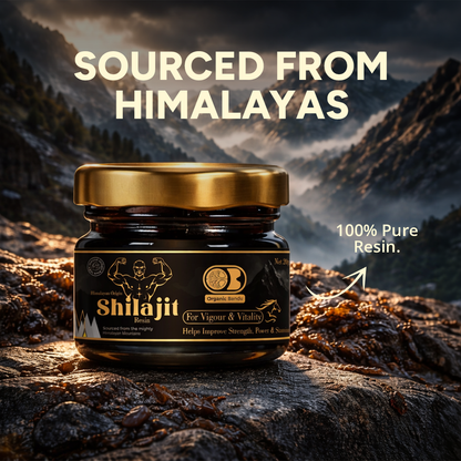 Shilajit Resin 20gm
