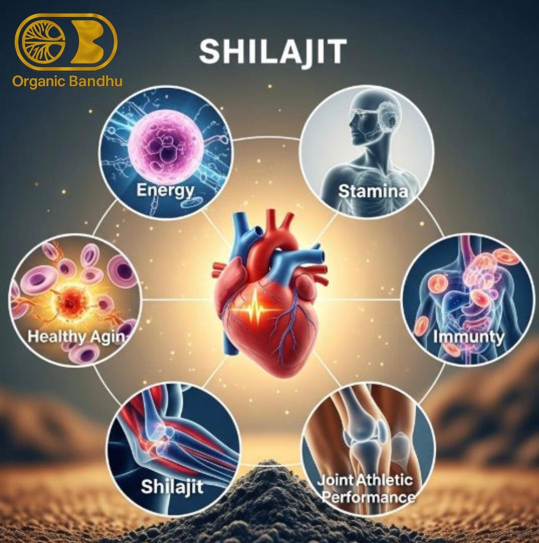 Shilajit Resin