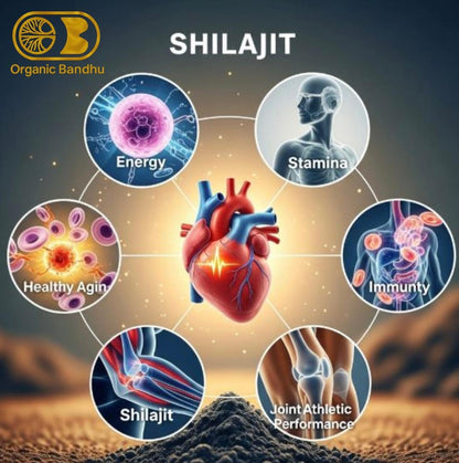 Shilajit Resin