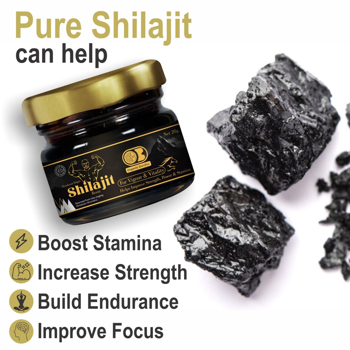 Shilajit Resin